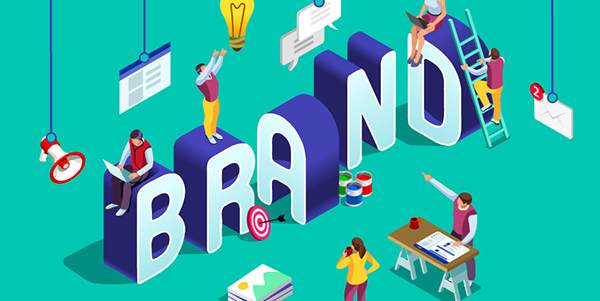 brand newsletter